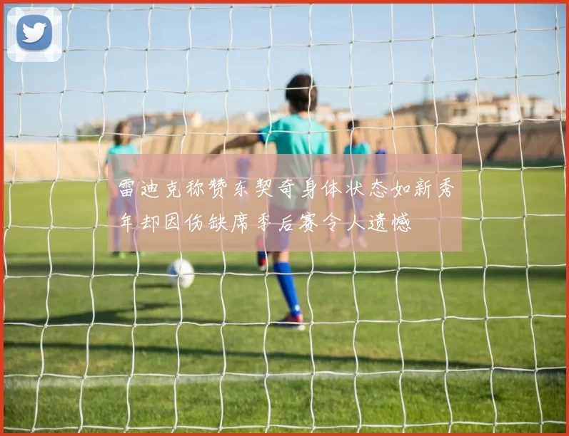 雷迪克称赞东契奇身体状态如新秀年却因伤缺席季后赛令人遗憾