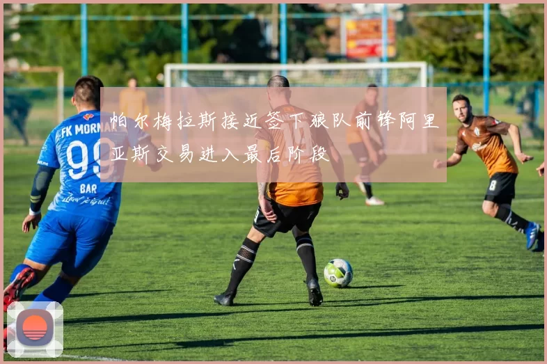 帕尔梅拉斯接近签下狼队前锋阿里亚斯交易进入最后阶段